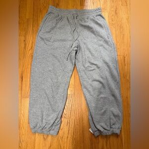Free People Ladies Gray Drawstring Sweatpants XL NWT